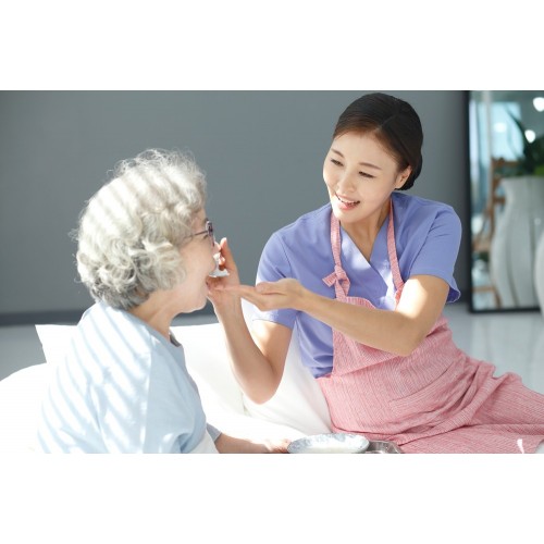 케어코디지도사